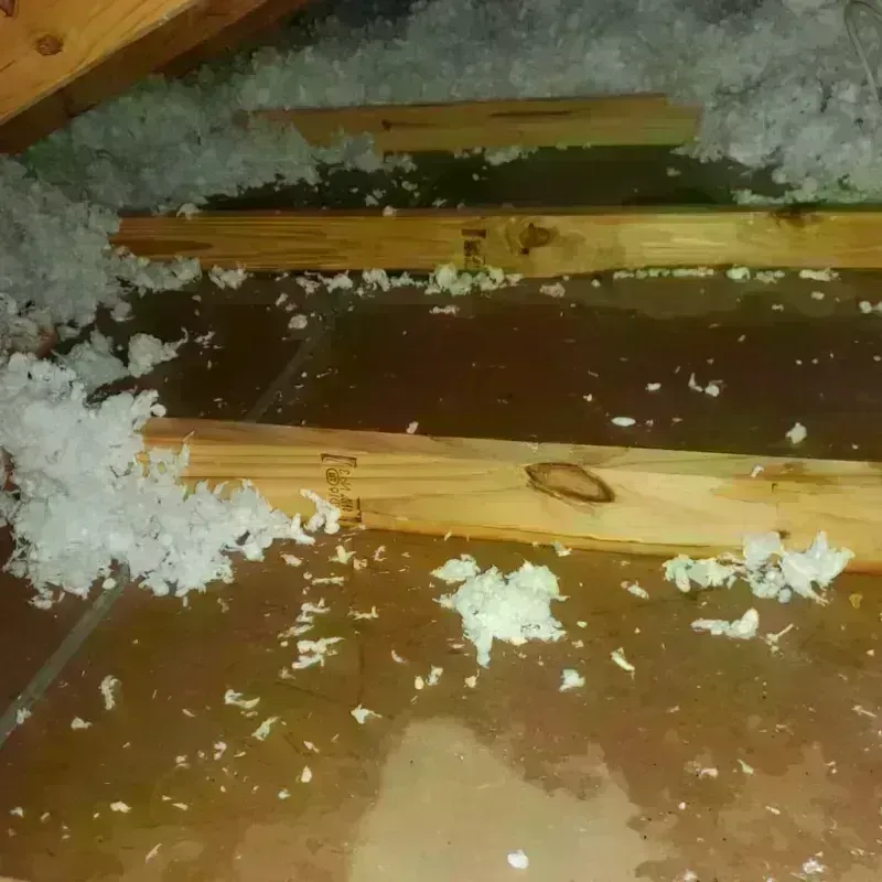 Attic Water Damage in Lyons, GA