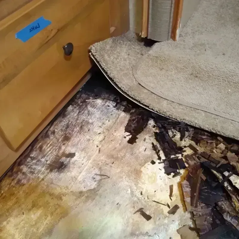 Best Wood Floor Water Damage Service in Lyons, GA